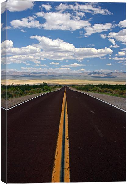 Desert Roadtrips I Canvas Print by Tom Hall