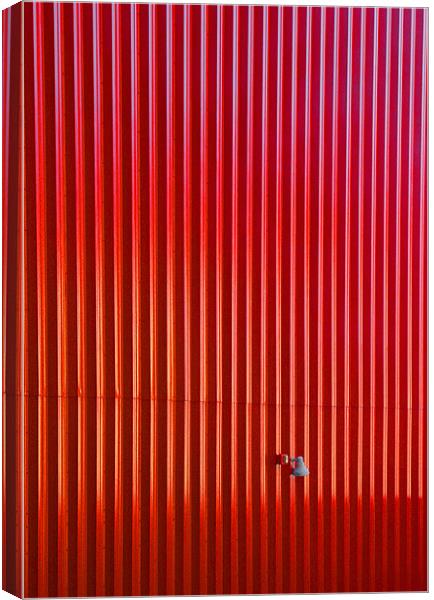 Red Canvas Print by Tom Hall
