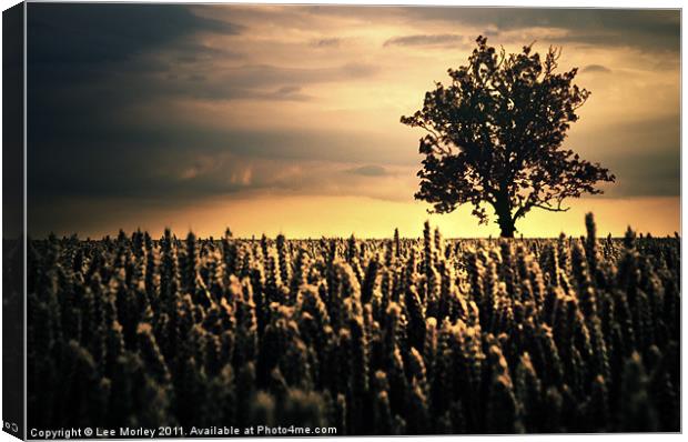 The Crowd Canvas Print by Lee Morley