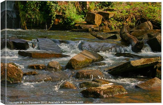 Penllergare Waterfall Canvas Print by Dan Davidson