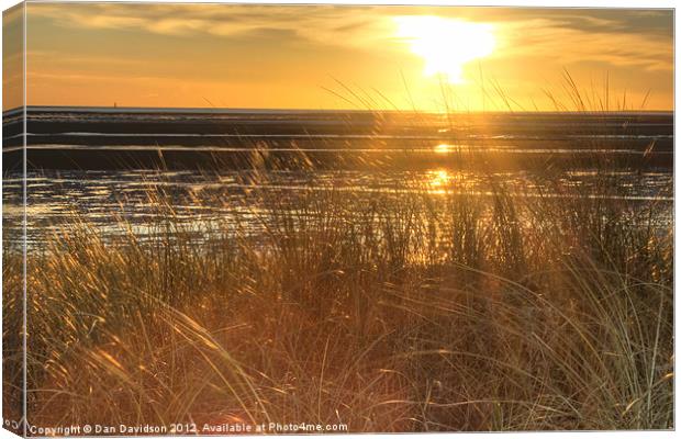 Grassy sunset Canvas Print by Dan Davidson