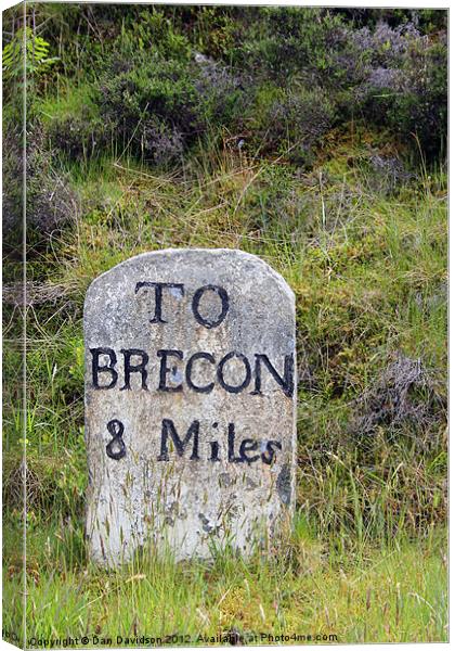 Brecon 8 Miles Canvas Print by Dan Davidson
