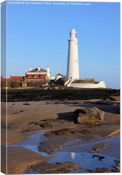 St marys lighthouse Canvas Print by Dan Davidson