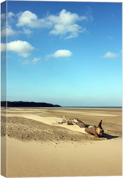 Driftwood at Broughton Canvas Print by Dan Davidson