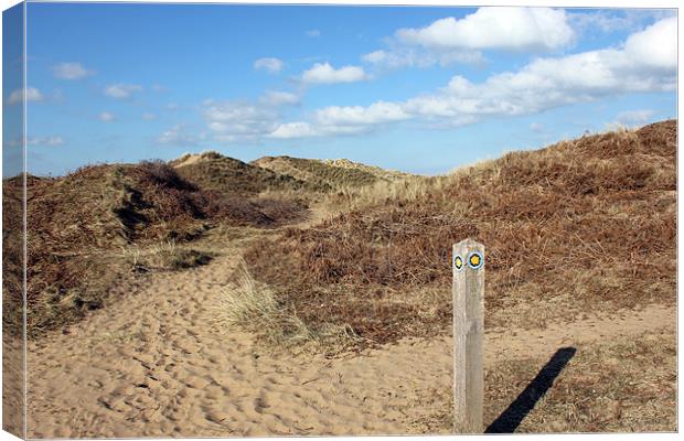 Wales Coast Path Canvas Print by Dan Davidson