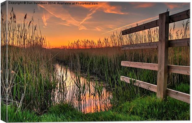 Norfolk sunset Canvas Print by Dan Davidson