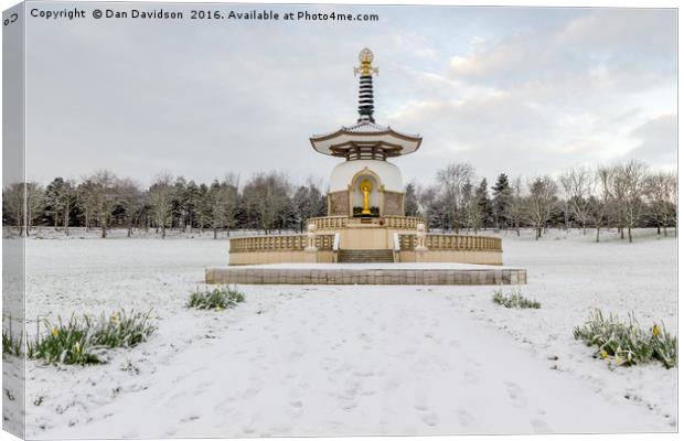Wintery Peace Pagoda Canvas Print by Dan Davidson