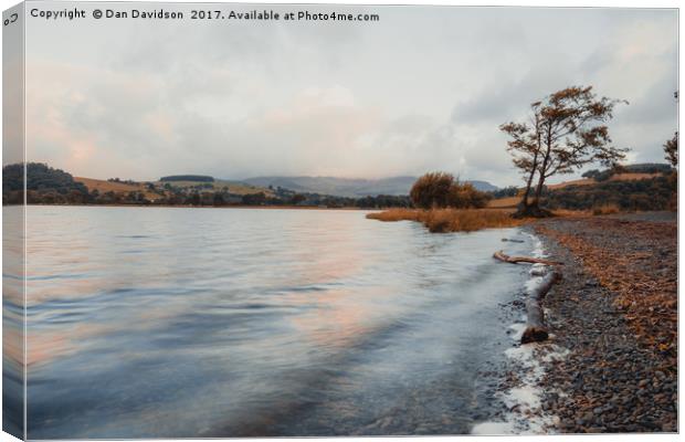 Llyn Tegid Autumn Canvas Print by Dan Davidson