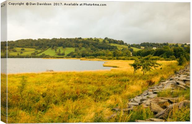 Lake Bala Summer Canvas Print by Dan Davidson