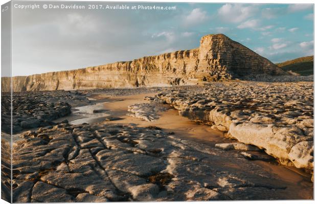 Nash Point Landscape Canvas Print by Dan Davidson