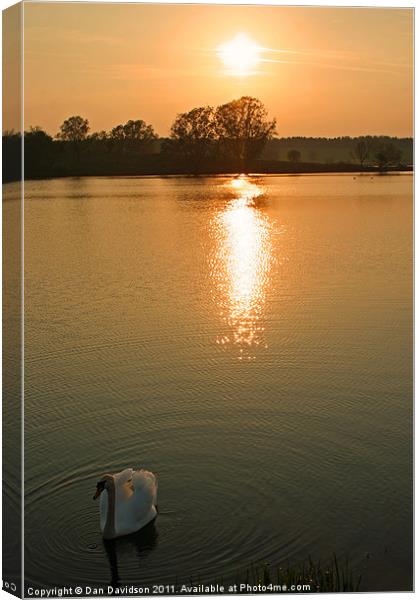 Swan Lake at Sunset Canvas Print by Dan Davidson