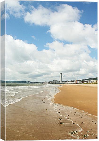 Swansea Beach at midday Canvas Print by Dan Davidson
