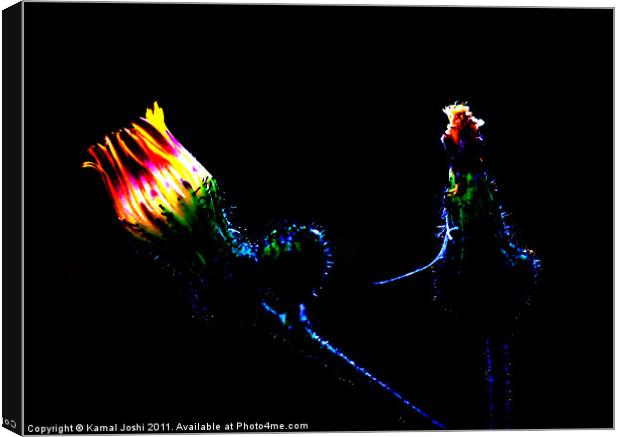 Glowing Flower Canvas Print by Kamal Joshi