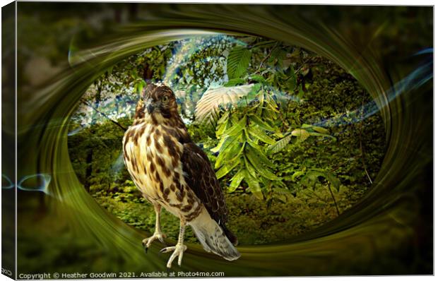 Falcon's Haunt Canvas Print by Heather Goodwin