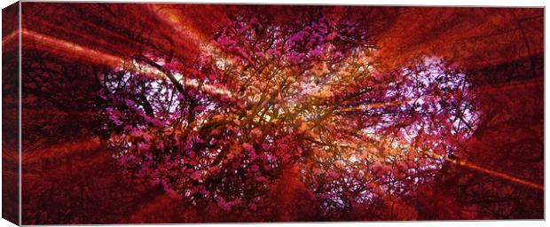 Cherryade. Canvas Print by Heather Goodwin