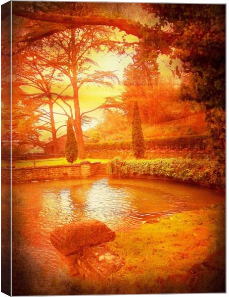 The Quiet Fish Pool. Canvas Print by Heather Goodwin
