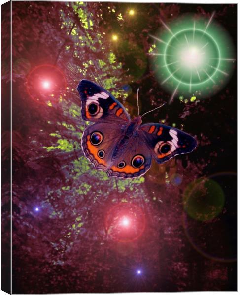 Butterfly Ball. Canvas Print by Heather Goodwin