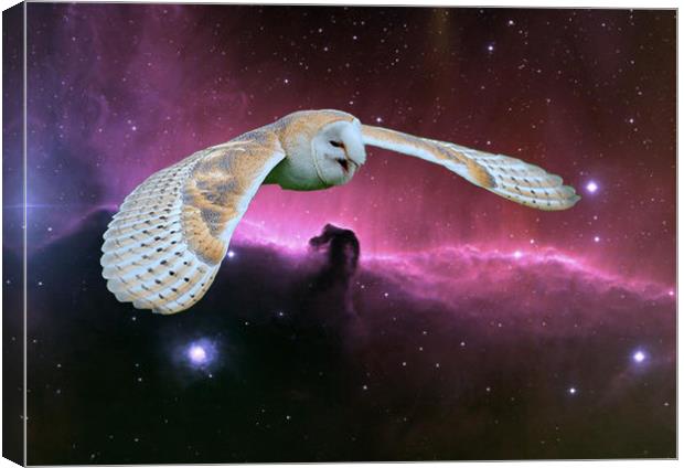 Barn Owl v. Horse head Nebula. Canvas Print by Heather Goodwin