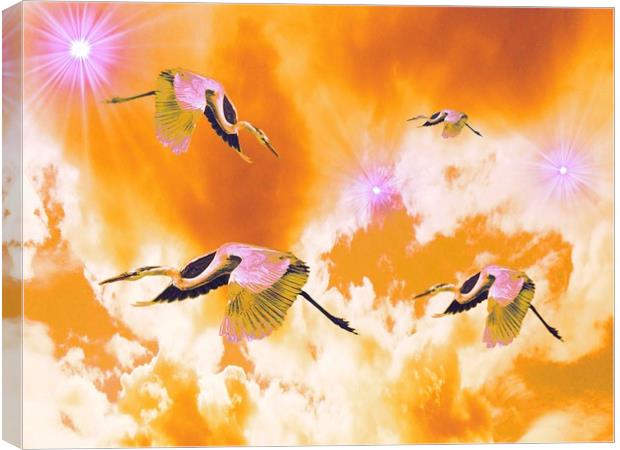 Dance of the Heron and Nebulae. Canvas Print by Heather Goodwin