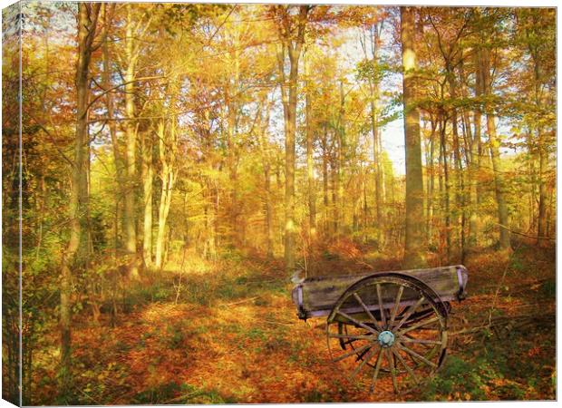 The Woodsmans Glade. Canvas Print by Heather Goodwin
