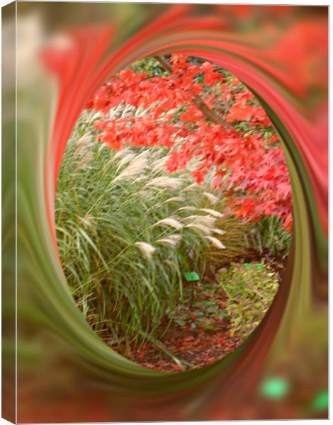 Acer and Bamboo. Canvas Print by Heather Goodwin