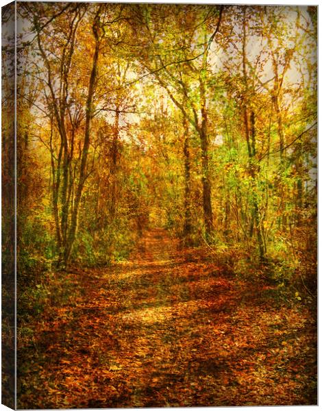 Autumn Canopy. Canvas Print by Heather Goodwin