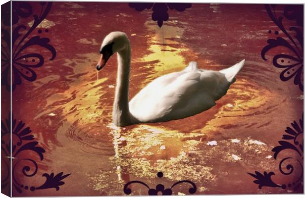 White Swan. Canvas Print by Heather Goodwin