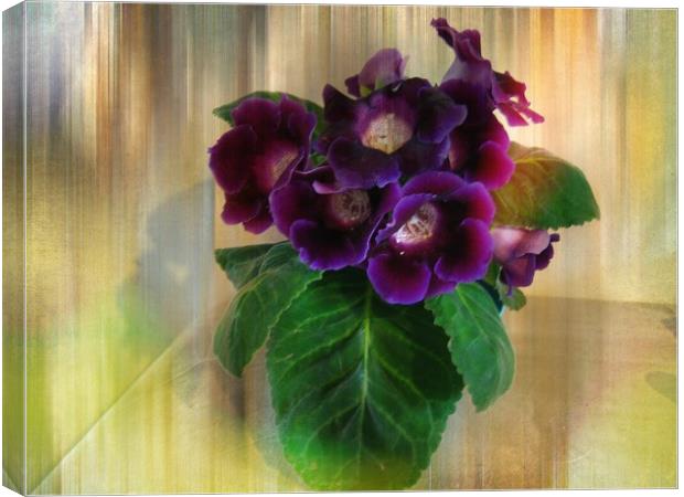 Sweet Violets. Canvas Print by Heather Goodwin