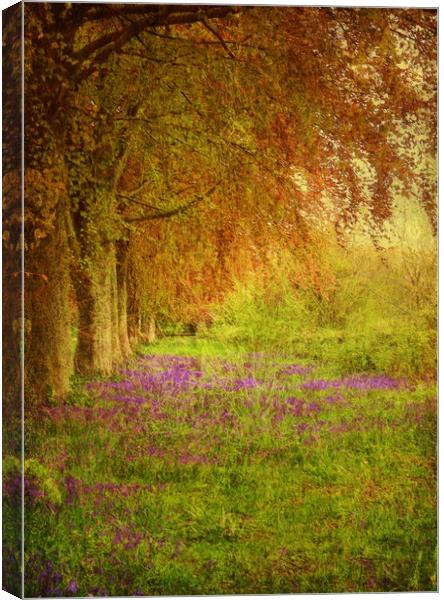 The Bluebell Pathway. Canvas Print by Heather Goodwin