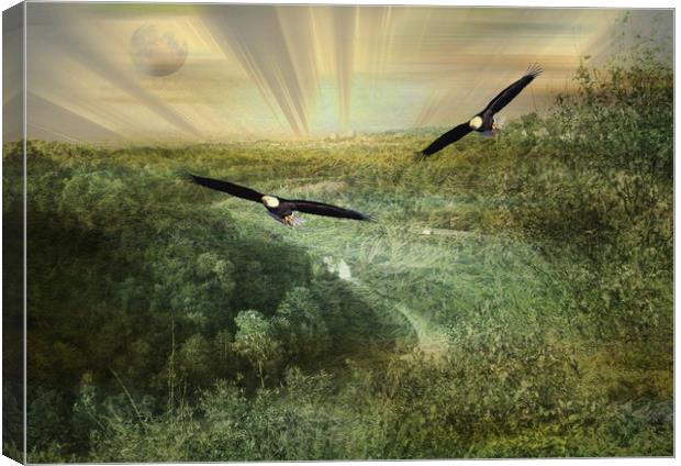 Eagles Over Area Base One. Canvas Print by Heather Goodwin