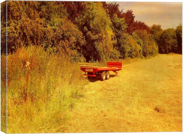  Summer Mowing. Canvas Print by Heather Goodwin