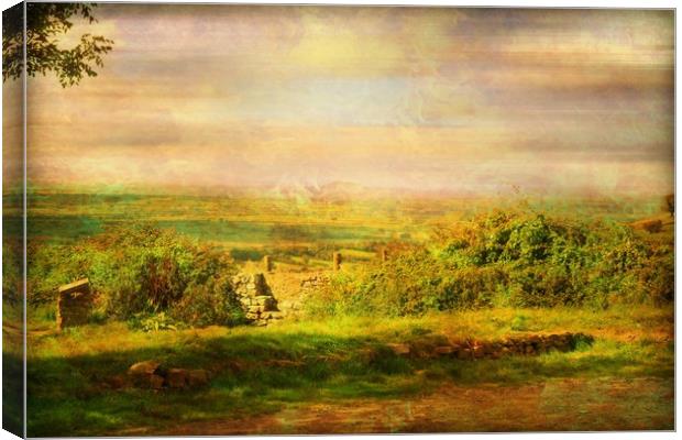  From the Top of the Hill. Canvas Print by Heather Goodwin
