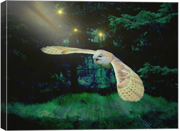  Night Owl. Canvas Print by Heather Goodwin