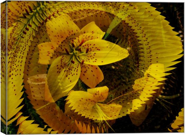  Spiral Fractal Lily. Canvas Print by Heather Goodwin