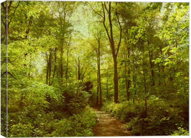  The Path Goes Ever On. Canvas Print by Heather Goodwin