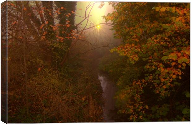  Misty River. Canvas Print by Heather Goodwin