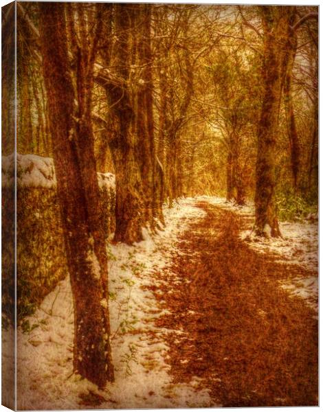 Frosty Paths. Canvas Print by Heather Goodwin