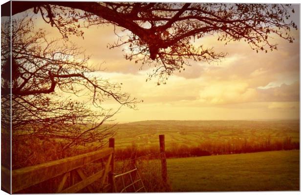  Looking  Across Blagdon. Canvas Print by Heather Goodwin