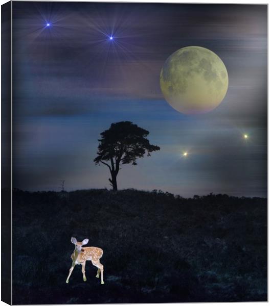  The Moon Gazer. Canvas Print by Heather Goodwin