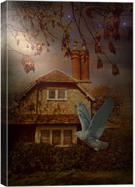 The Wise Woman's Cottage. Canvas Print by Heather Goodwin