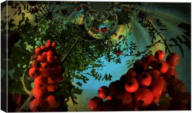 Very Berry Kaleidoscope. Canvas Print by Heather Goodwin