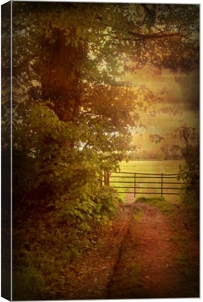 Early Morning at Four Acres. Canvas Print by Heather Goodwin
