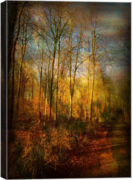 Hunter's Wood. Canvas Print by Heather Goodwin