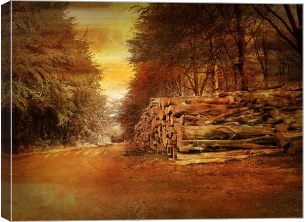 Woodcraft in  Avon Forest. Canvas Print by Heather Goodwin
