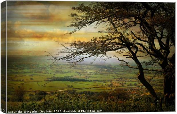 The Somerset Vale. Canvas Print by Heather Goodwin