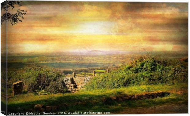 Wooky Lookout. Canvas Print by Heather Goodwin
