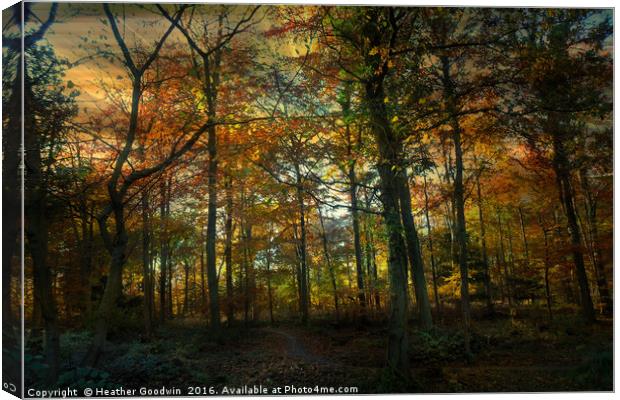 Autumn to Winter. Canvas Print by Heather Goodwin