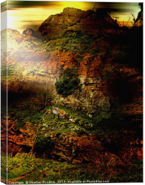 Deep Gorge. Canvas Print by Heather Goodwin
