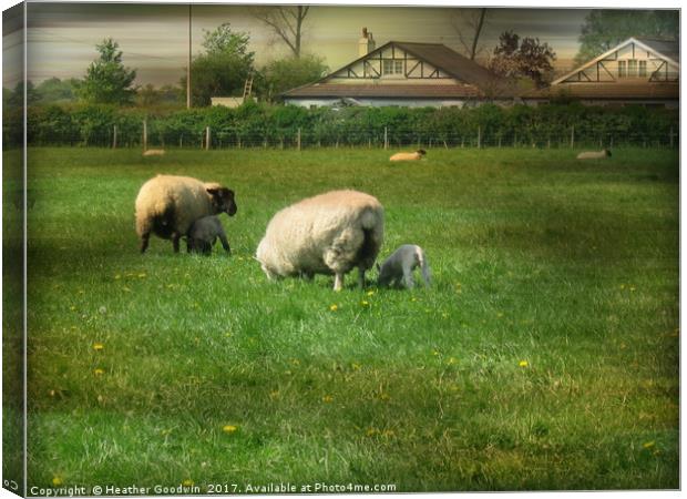 Mum's Training me to be a Lawn Mower. Canvas Print by Heather Goodwin