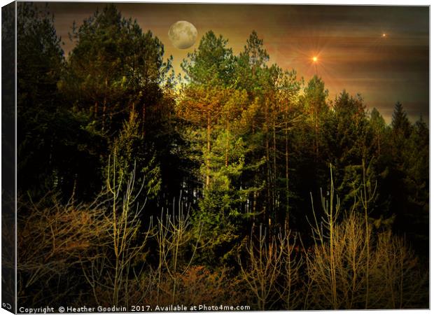 Night Forest Canvas Print by Heather Goodwin